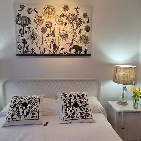 Cruz Centro Appartement Santa-Cruz de Ténérife