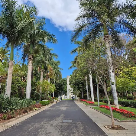 Daire Cruz Centro Santa Cruz de Tenerife